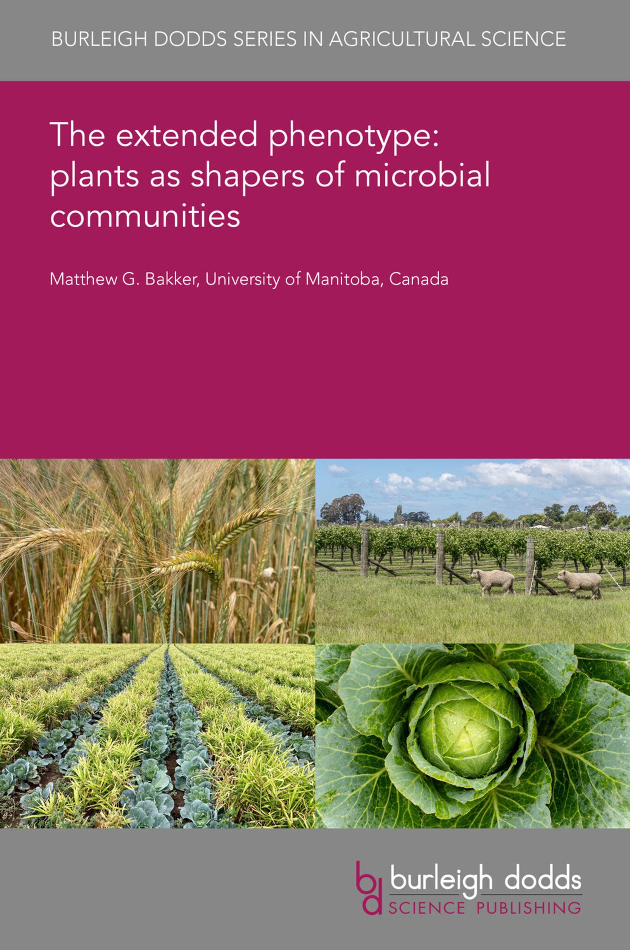 Cover image for The extended phenotype: plants as shapers of microbial communities ISBN 9781835451922